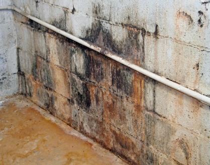 Workers applying advanced waterproofing treatments